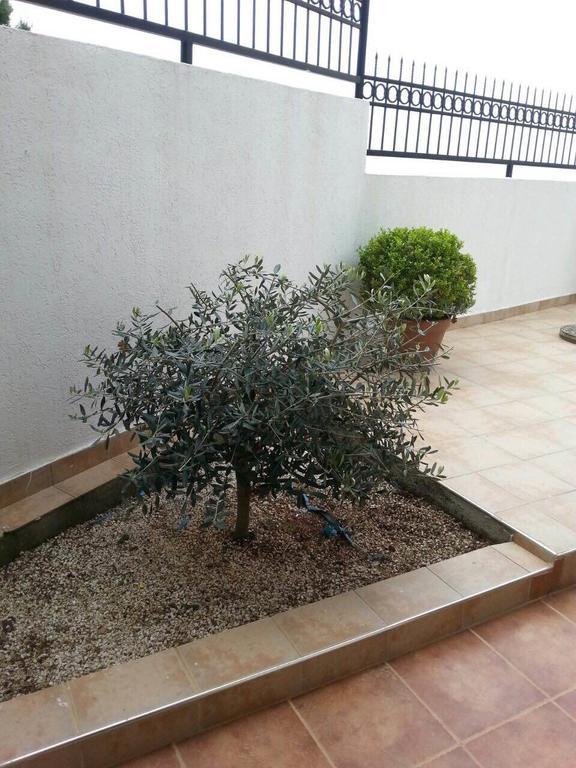 Apartments Sveti Stefan-Marko Екстер'єр фото
